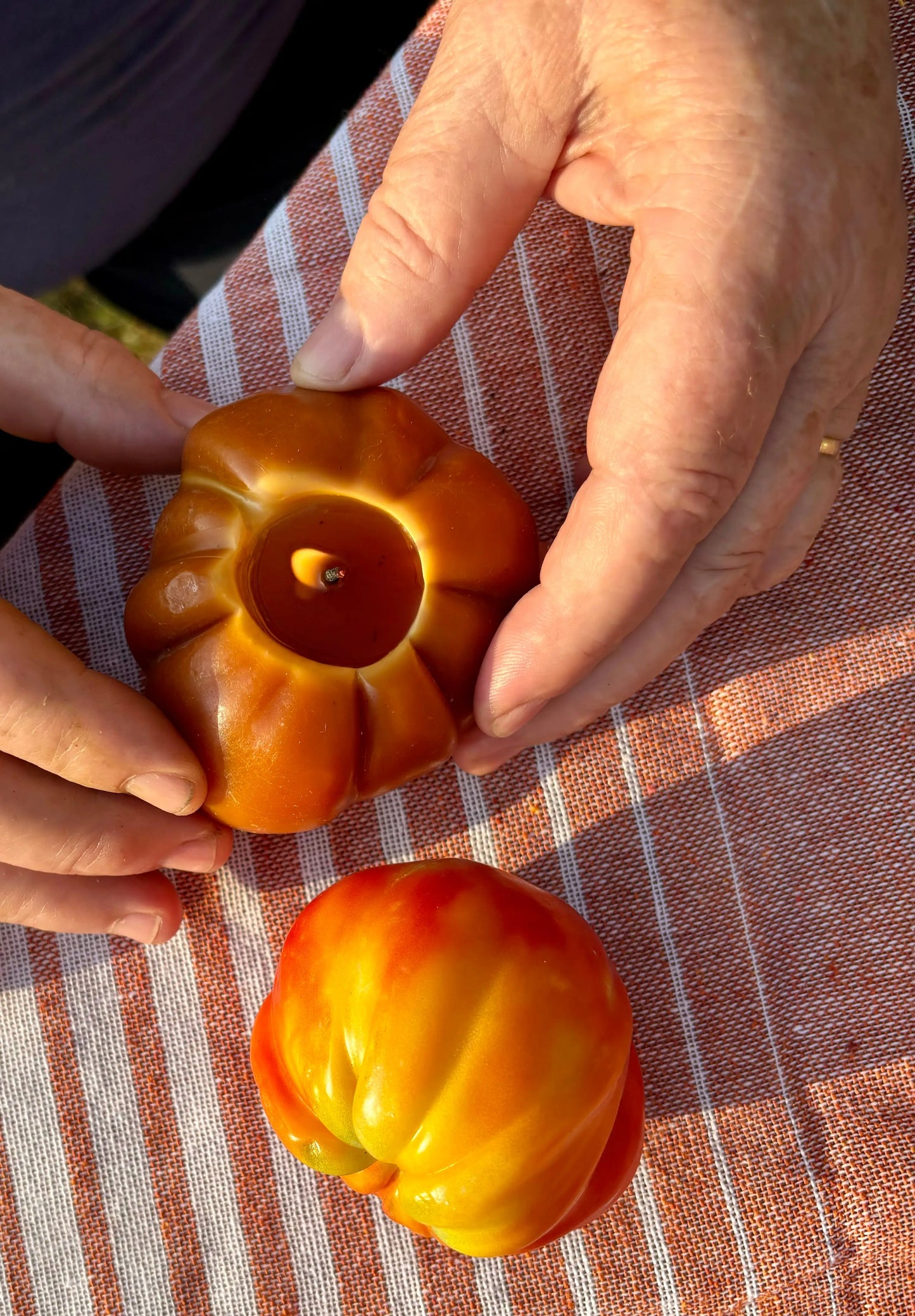 Heirloom Tomato Humble The Urban Hive