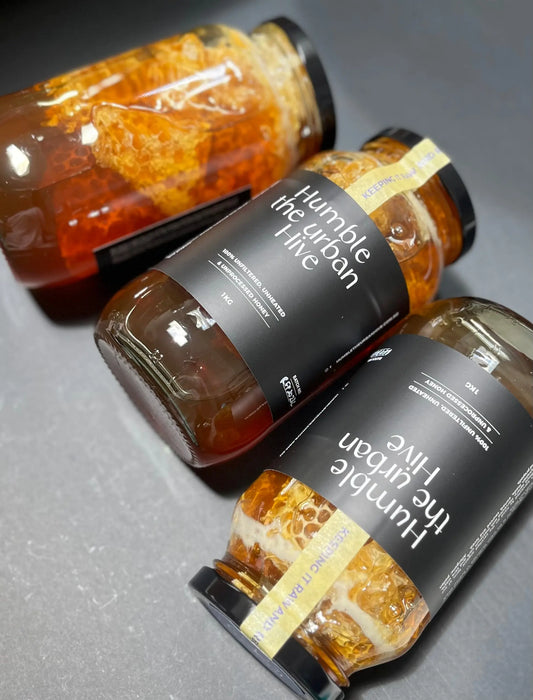 Cut Honeycomb and Honey Humble The Urban Hive