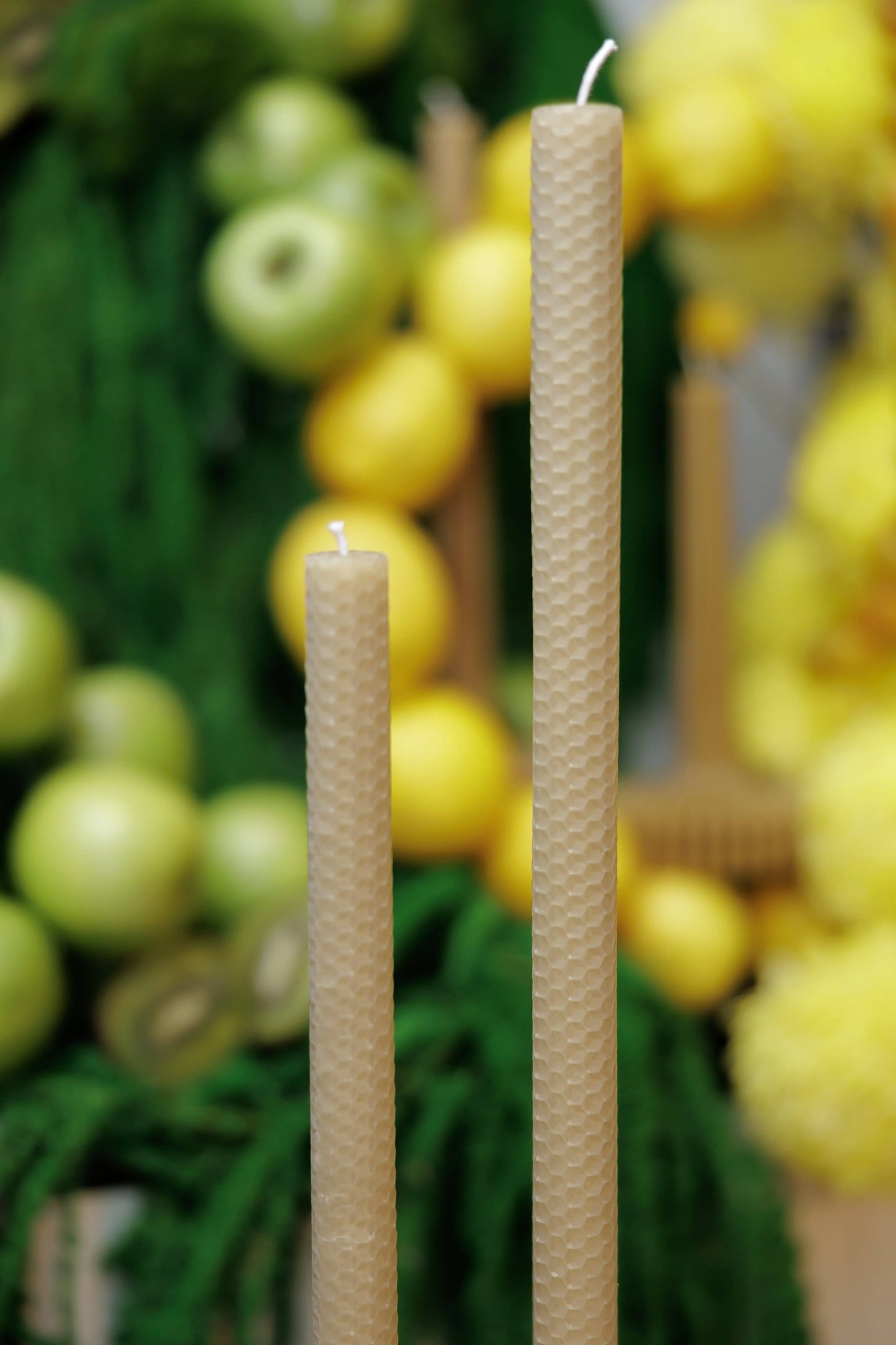 Seraphina Hand Rolled Australian Beeswax Candles Humble The Urban Hive