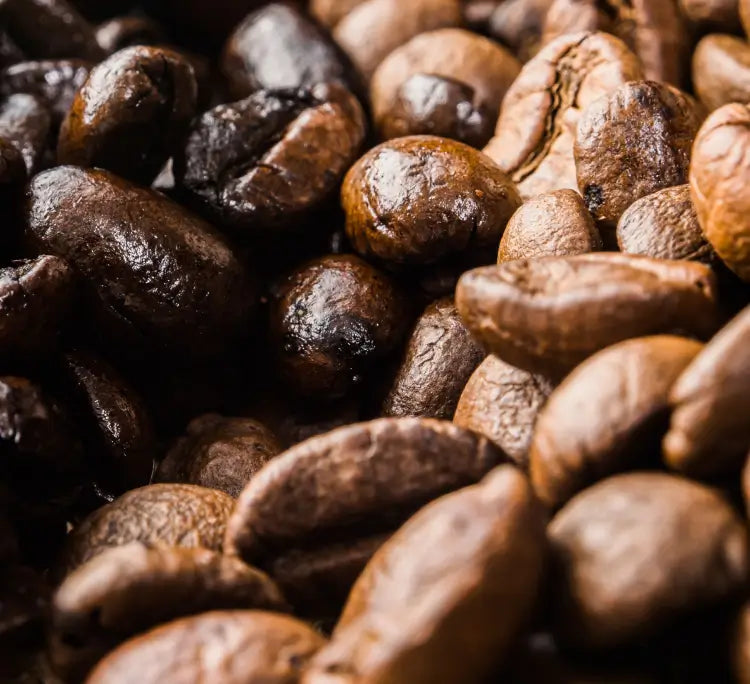 The Romantic Roaster Humble Roast Humble The Urban Hive